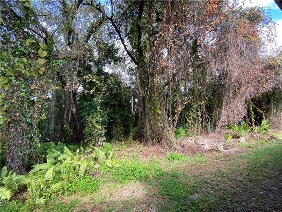 Wooded view from the right side of the home. - Single Family Home for sale at 18506 Hottelet Cir, Port Charlotte, FL 33948 - MLS Number is C7452138