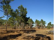 Vacant Land for sale at 12463 Harring Way, Placida, FL 33946 - MLS Number is C7453675