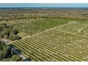 Vacant Land for sale at 7501 Sw Hull Ave, Arcadia, FL 34269 - MLS Number is N6118734