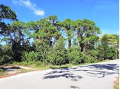 Southeast corner of lot - Vacant Land for sale at 0000 Venisota Rd, Venice, FL 34293 - MLS Number is N6119055